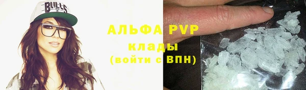 spice Богородск