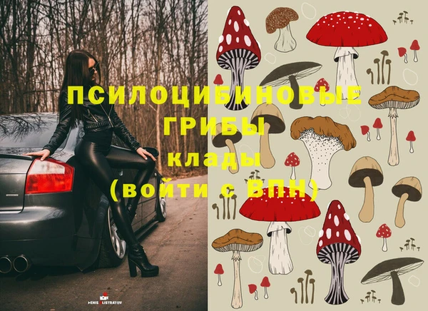 индика Волоколамск