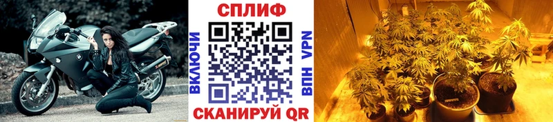 Канабис Amnesia  Купить где  Кропоткин 